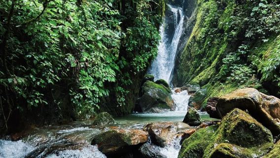 騰衝高黎貢山【五道溪】徒步（瀑布+叢林穿越）