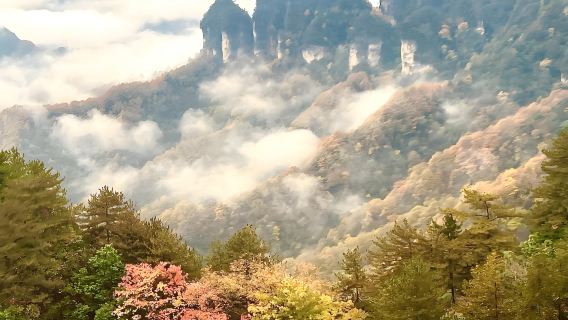 漢中-光霧山一日【2-6人私家團】-【含門票+景交車】