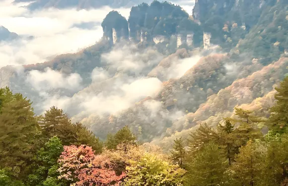 6人團-漢中油菜花-光霧山-【含門票+燕子嶺來回索道】