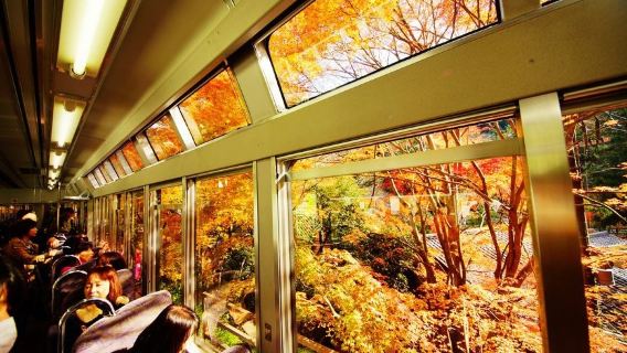 Saison des feuilles rouges|Incluant le tramway du mont Hiei|Excursion d'une journée en petit groupe : Eikando pour admirer les érables, Kifune-jinja et Sanzen-in
