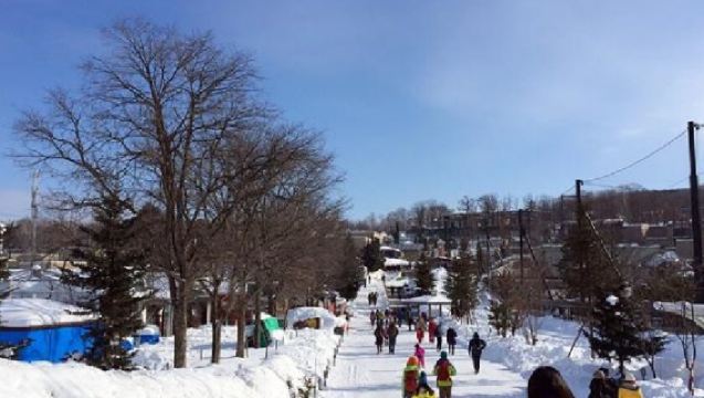 日本北海道+旭川動物園+白鬚瀑布一日遊/行程可調-可定制多日