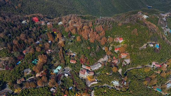 servicio de guía privado multilingüe de nivel avanzado lugar pintoresco de Moganshan