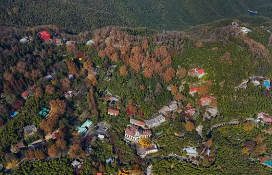 莫幹山風景名勝區私人尊享人工講解服務