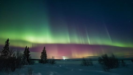 однодневный тур в Мурманск для охоты за северным сиянием с совместным трансфером в Полярный круг
