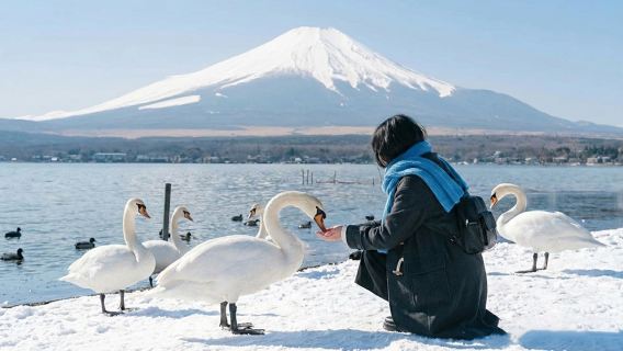Fuji-Berg beliebter Doppelseen + Lawson + Higashikawa-Uhrengeschäft + Oishi-Park Tagesausflug|Kleine Gruppe mit 9 Personen