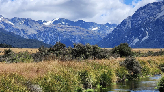 紐西蘭基督城-弗朗茲約瑟夫冰川-定制【中文專車-愜意舒適】