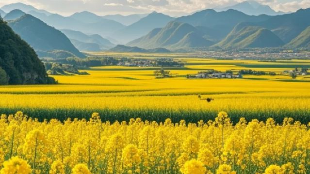 隴南碧口古鎮+玉壘關賞油菜花1日遊