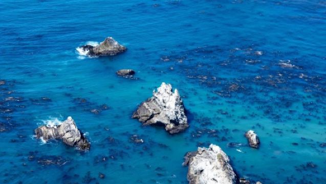 美國三藩市-1號公路-McWay瀑布-洛杉磯止-包車-精選