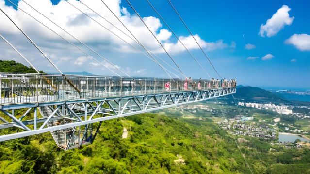 Однодневный тур в тропический лесной парк Яньода в Санья