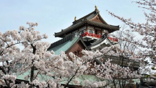 Kumano Kiyomizu-dera Temple + Yoro Park + Kiyosu Castle Cherry Blossom Day Tour [Visit the Same Spots as Spirited Away]