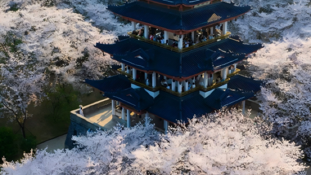 From Shanghai: Wuxi Yuantouzhu + Taihu Fairy Island Flower Viewing private Day Trip