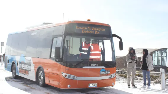 Excursión de 2.5 horas al monte Wellington/Kunanyi - autobús turístico con paradas libres
