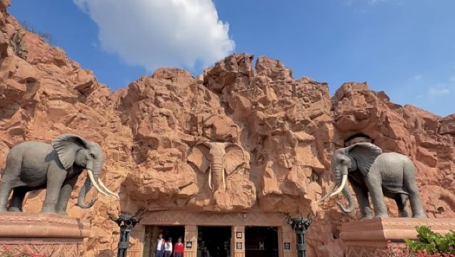 南非約堡野生親子線【包車10小時】