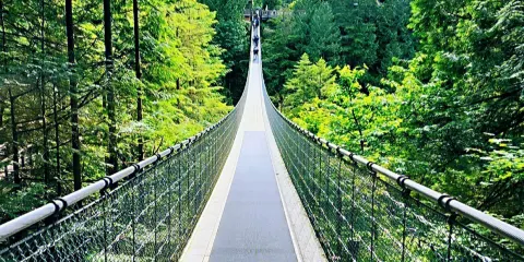 松雞山~卡皮拉諾吊橋公園~溫哥華一日遊【英文拼團】
