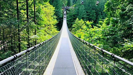 Grouse mountain peak - Capilano suspension bridge park - Vancouver day tour (English join-in tour)