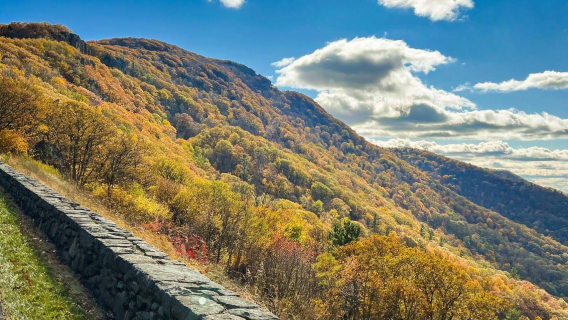 美國華盛頓來回-仙納度國家公園一日遊【中文包車自由行】
