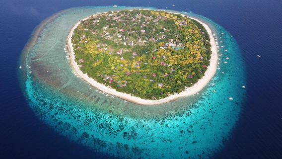 1-day island hopping tour in Bohol Island, Philippines - dolphin watching, snorkeling and diving at Balicasag and Virgin Island