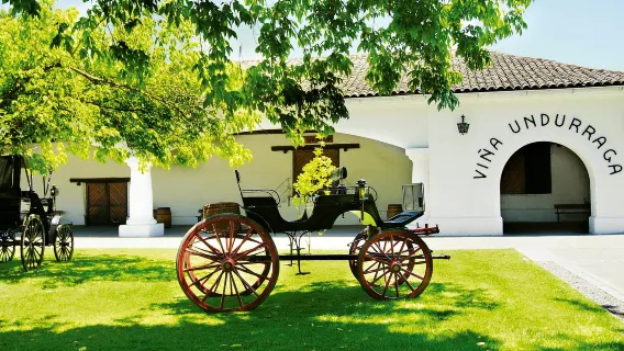 Tour di un giorno per degustare vini nei tre principali vigneti della Valle del Maipo a Santiago del Cile
