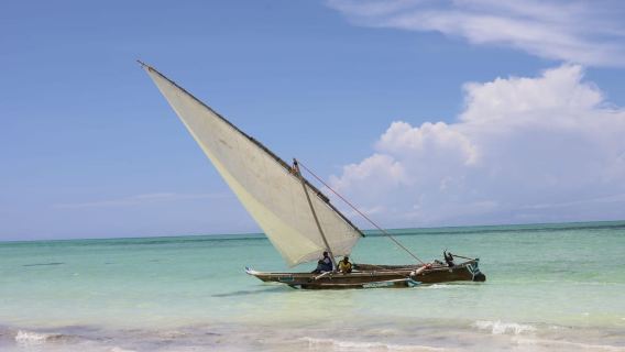 Zanzibar: Safari blue day trp with Snorkel,Star fish & Lunch