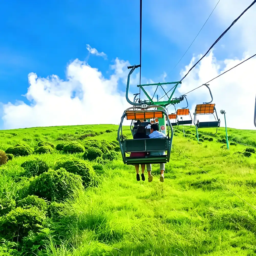 Japan Tokyo Izu 1-day tour: Mt. Omuro + zoo + scenic train