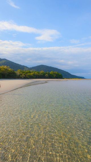 1-day tour in Cairns - Daintree rainforest wildlife habitat and Cape Tribulation beach