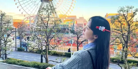 日本東京+橫濱紅磚倉庫+元町商店街+山下公園包車一日遊