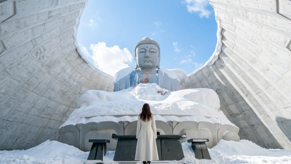 Passeio de um dia pelos marcos de Hokkaido: Santuário de Hokkaido, Grande Buda de Head, Canal de Otaru e Monte Tengu
