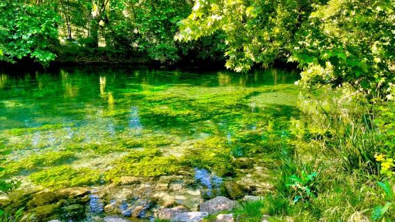 Luberon, Roussillon & Gordes Half-Day Tour from Avignon