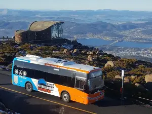 Hobart Hop-On Hop-Off Bus & kunanyi/Mt Wellington Tour