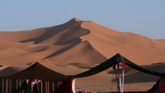 DohaTours