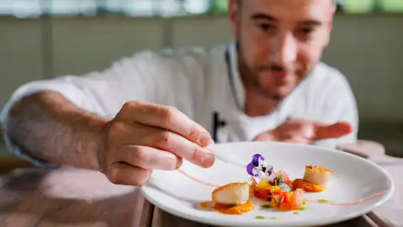 Sydney Harbour Starlight Dinner Cruise