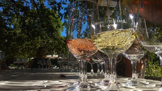 StellenboschTours