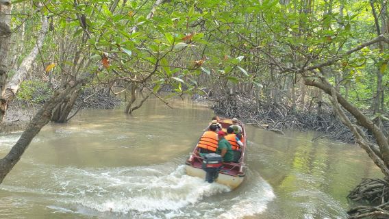 Vietnam Ho Chi Minh City Can Gio Monkey Island Biosphere Reserve 1-day tour, including lunch and speedboating
