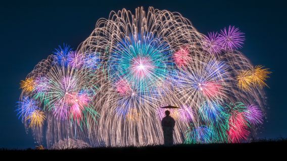 Kinugawa Fireworks and Ibaraki Flower Sea one-day tour: A Date with the Sea of Flowers and Fireworks