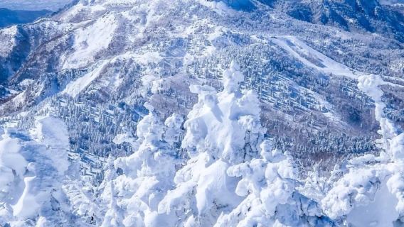 日本札幌出發打卡小樽積丹半島/可登別富良野北海道多日包車精選