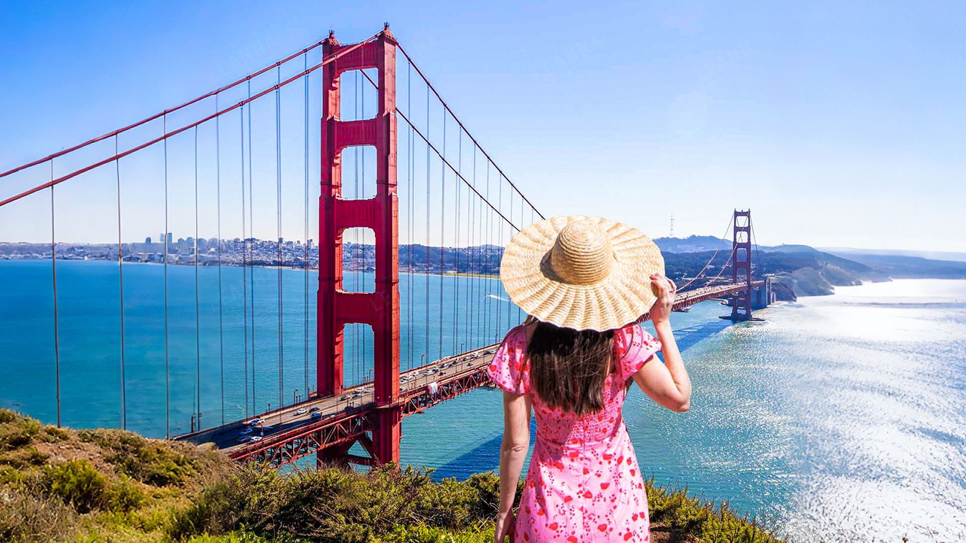 미국 EVUS 등록 갱신 서비스 전자 입국 세관 서비스 여행 비즈니스 일정 정보 작성 및 갱신