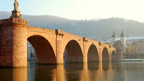 Germany + Heidelberg Castle + Church of the Holy Spirit + Old Bridge Heidelberg + Rudesheim private charter day tour
