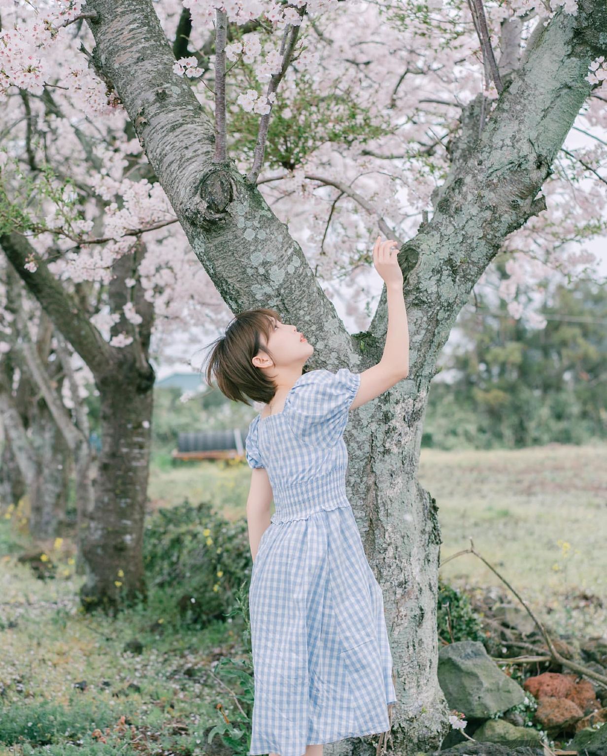 Foto di viaggio a Lilla, Francia[Autista, guida e fotografo per Trip Moments + servizio di riprese aeree per foto matrimoniali e cortometraggi + trucco e abbigliamento + personalizzazione itinerario + numero illimitato di partecipanti]