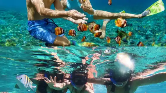 Mexico Boutique Tour-Mexico Women's Island + Coral Reef Snorkeling Site + Snorkeling Experience