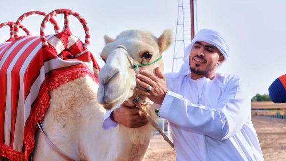 Dubai Attraction: Camelicious Dubai