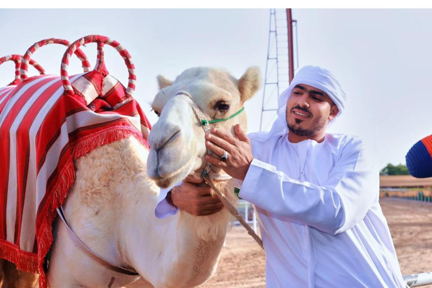 Dubai Attraction: Camelicious Dubai