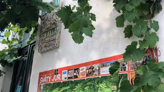 Degustation of organic wines tour from Bratislava