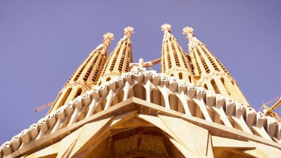 Sagrada Familia: Skip The Line Ticket + Guided Tour