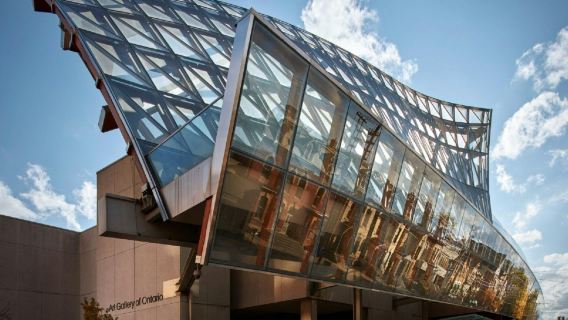 Art Gallery of Ontario: Entry Ticket