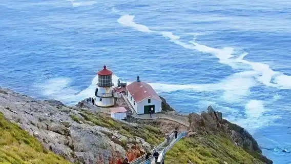 繆爾森林國家紀念地+斯廷森海灘+point reyes 海岸