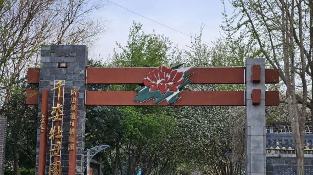 洛陽白馬寺+天子駕六博物館+遺址植物園一日遊提供中英文服務