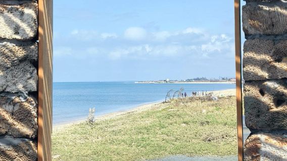 Zhanjiang Pineapple Sea + Lantern Tower + Antarctic Village + Maichen Town one-day tour- English Service Available