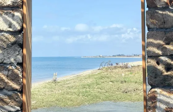 湛江菠蘿的海+燈角樓+南極村+邁陳鎮一日遊-可中英文服務