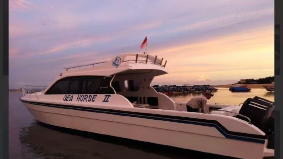 Bali Private Charter 12-Seater Leisure Speedboat Seahorse: 1-day tour to Penida Island and Nusa Lembongan