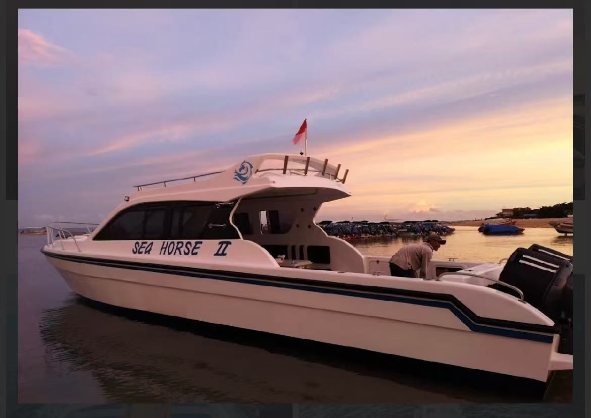 Bali Private Charter 12-Seater Leisure Speedboat Seahorse: 1-day tour to Penida Island and Nusa Lembongan